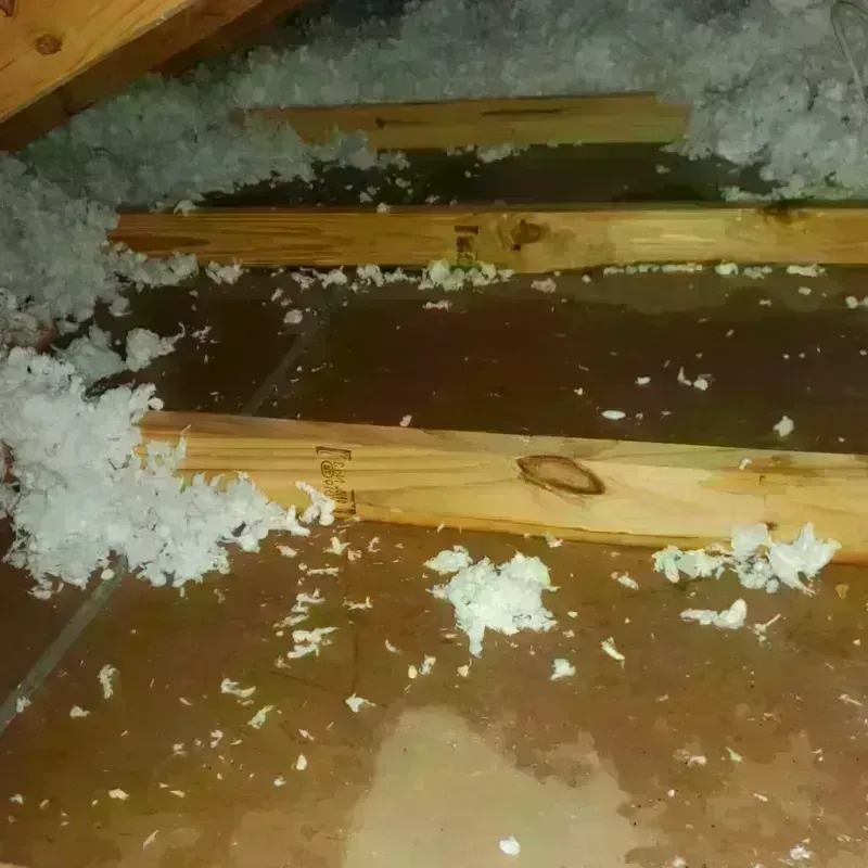 Attic Water Damage in Greensburg, IN