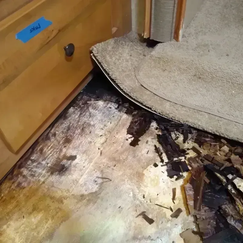 Best Wood Floor Water Damage Service in Greensburg, IN